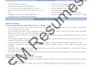 provide cyber security, data analyst resume writing services